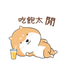 ぷにぷにシバちゃん-日常生活編(中国語版)（個別スタンプ：15）