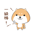 ぷにぷにシバちゃん-日常生活編(中国語版)（個別スタンプ：16）