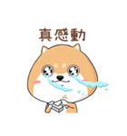 ぷにぷにシバちゃん-日常生活編(中国語版)（個別スタンプ：17）