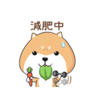 ぷにぷにシバちゃん-日常生活編(中国語版)（個別スタンプ：18）