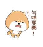 ぷにぷにシバちゃん-日常生活編(中国語版)（個別スタンプ：21）