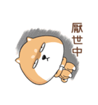 ぷにぷにシバちゃん-日常生活編(中国語版)（個別スタンプ：24）