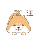 ぷにぷにシバちゃん-日常生活編(中国語版)（個別スタンプ：31）
