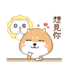 ぷにぷにシバちゃん-日常生活編(中国語版)（個別スタンプ：34）