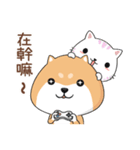 ぷにぷにシバちゃん-日常生活編(中国語版)（個別スタンプ：38）