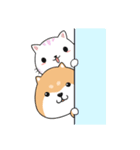 ぷにぷにシバちゃん-日常生活編(中国語版)（個別スタンプ：39）