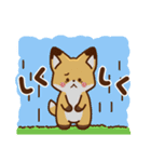 かわいいきつね☆毎日日常の言葉（個別スタンプ：37）