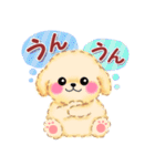 毎日使える♥かわいいトイプードル（個別スタンプ：4）