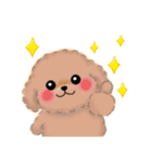 毎日使える♥かわいいトイプードル（個別スタンプ：15）