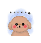 毎日使える♥かわいいトイプードル（個別スタンプ：26）
