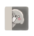 毎日使える♥かわいいトイプードル（個別スタンプ：27）