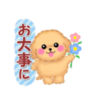 毎日使える♥かわいいトイプードル（個別スタンプ：35）