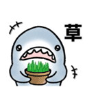 生活感のあるサメ2（個別スタンプ：31）