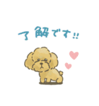 トイプードルだよ★（個別スタンプ：1）