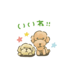 トイプードルだよ★（個別スタンプ：4）