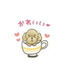 トイプードルだよ★（個別スタンプ：16）