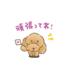 トイプードルだよ★（個別スタンプ：17）