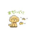トイプードルだよ★（個別スタンプ：22）