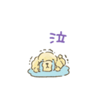 トイプードルだよ★（個別スタンプ：26）