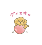 トイプードルだよ★（個別スタンプ：29）