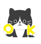 ハチワレ猫こてつ（個別スタンプ：1）