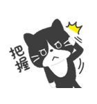 ハチワレ猫こてつ（個別スタンプ：3）