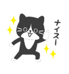 ハチワレ猫こてつ（個別スタンプ：4）