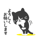 ハチワレ猫こてつ（個別スタンプ：5）