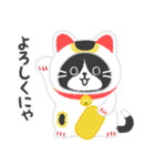 ハチワレ猫こてつ（個別スタンプ：6）