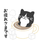 ハチワレ猫こてつ（個別スタンプ：10）