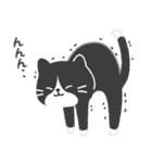 ハチワレ猫こてつ（個別スタンプ：12）