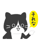 ハチワレ猫こてつ（個別スタンプ：13）