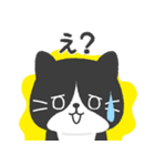 ハチワレ猫こてつ（個別スタンプ：19）