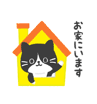 ハチワレ猫こてつ（個別スタンプ：21）