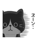 ハチワレ猫こてつ（個別スタンプ：24）