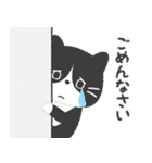 ハチワレ猫こてつ（個別スタンプ：28）