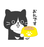 ハチワレ猫こてつ（個別スタンプ：31）