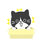 ハチワレ猫こてつ（個別スタンプ：33）