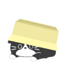 ハチワレ猫こてつ（個別スタンプ：36）