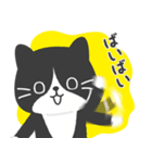 ハチワレ猫こてつ（個別スタンプ：40）
