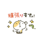 ネコさん★敬語（個別スタンプ：16）
