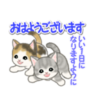 毎日優しいもこもこ猫ちゃんズ（個別スタンプ：1）