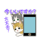 毎日優しいもこもこ猫ちゃんズ（個別スタンプ：2）