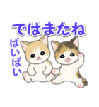 毎日優しいもこもこ猫ちゃんズ（個別スタンプ：3）