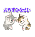 毎日優しいもこもこ猫ちゃんズ（個別スタンプ：4）