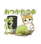 毎日優しいもこもこ猫ちゃんズ（個別スタンプ：5）