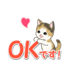 毎日優しいもこもこ猫ちゃんズ（個別スタンプ：11）