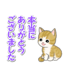 毎日優しいもこもこ猫ちゃんズ（個別スタンプ：14）