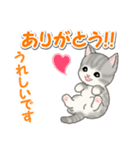 毎日優しいもこもこ猫ちゃんズ（個別スタンプ：16）