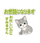 毎日優しいもこもこ猫ちゃんズ（個別スタンプ：22）
